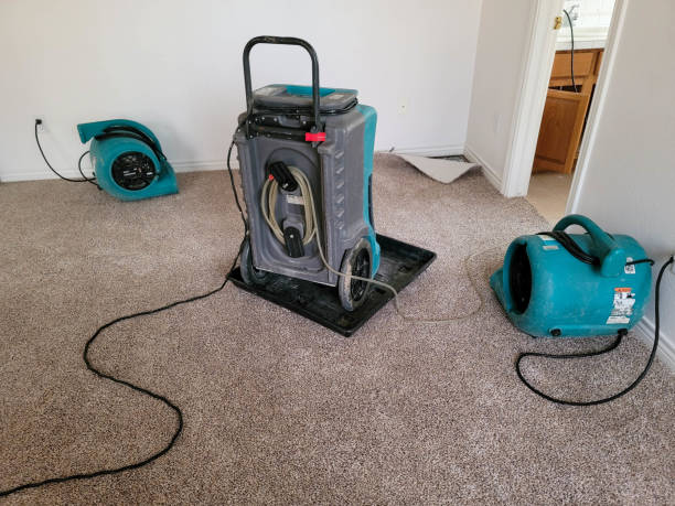 Best 24-hour water damage restoration  in North Port, FL