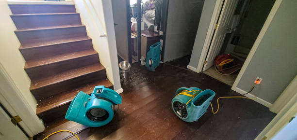  North Port, FL Water damage restoration Pros