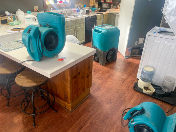 Professional Water damage restoration in North Port, FL