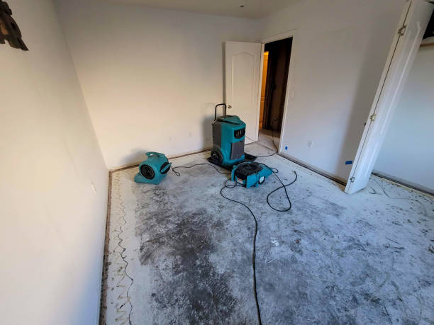 Carpet water damage restoration in North Port, FL