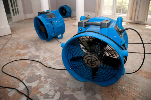 Best Residential water damage restoration  in North Port, FL