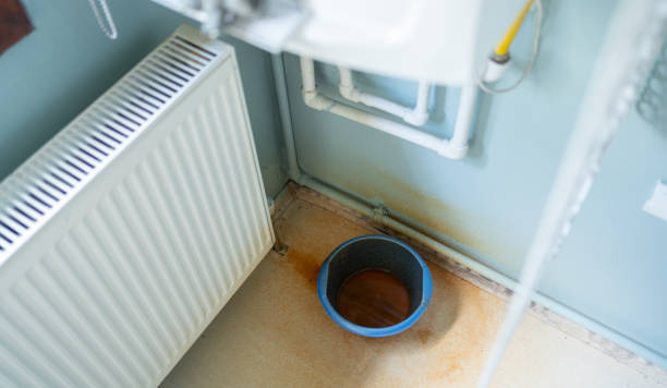 Best Ceiling water damage repair  in North Port, FL