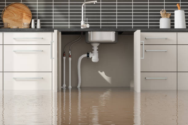 Best Flooded house restoration  in North Port, FL