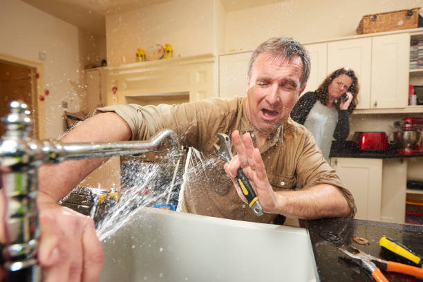 Best Flooded house restoration  in North Port, FL